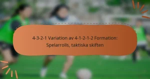 4-3-2-1 Variation av 4-1-2-1-2 Formation: Spelarrolls, taktiska skiften